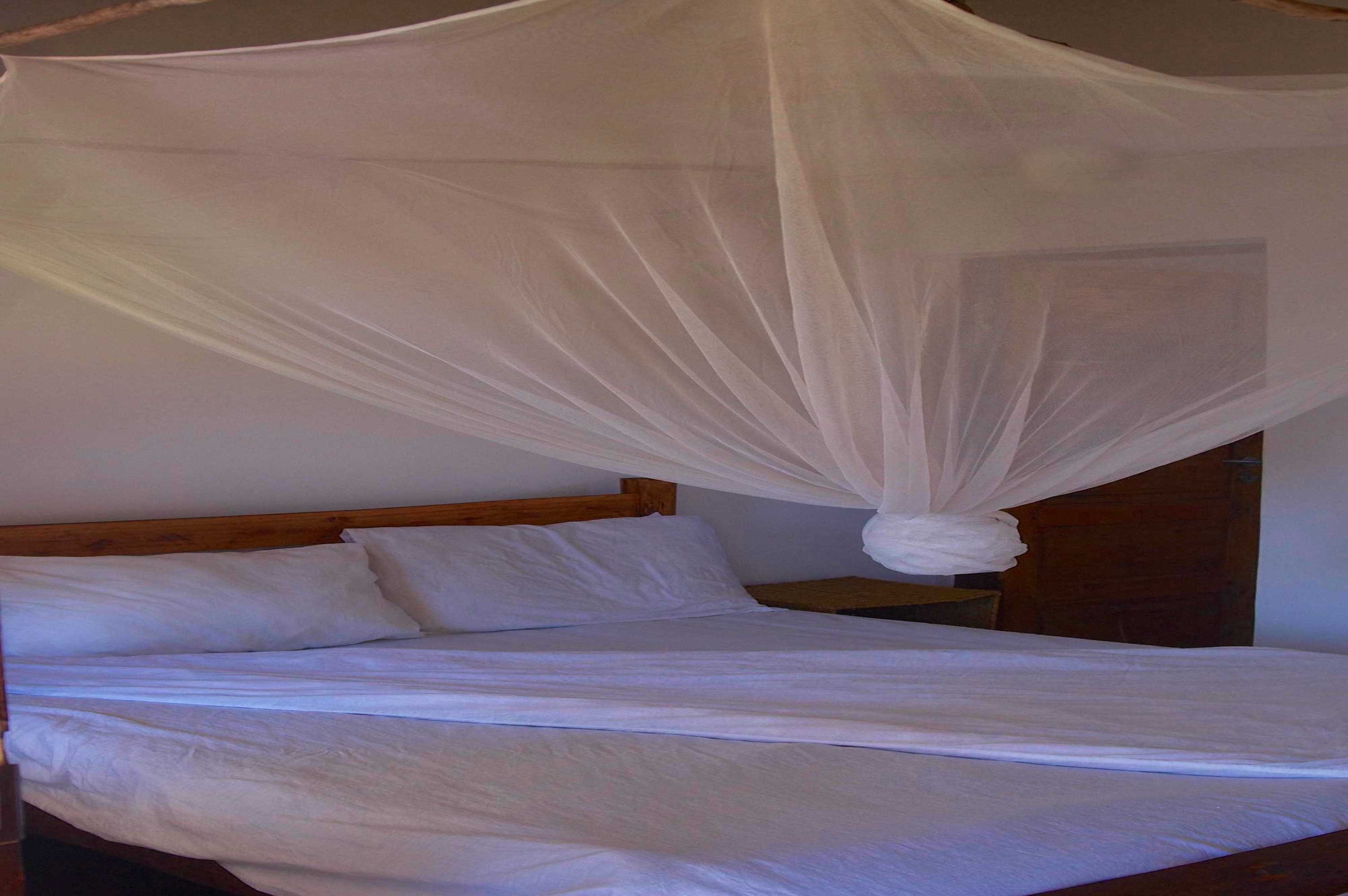 hostel lodge hotel gamboozini ponta mozambique