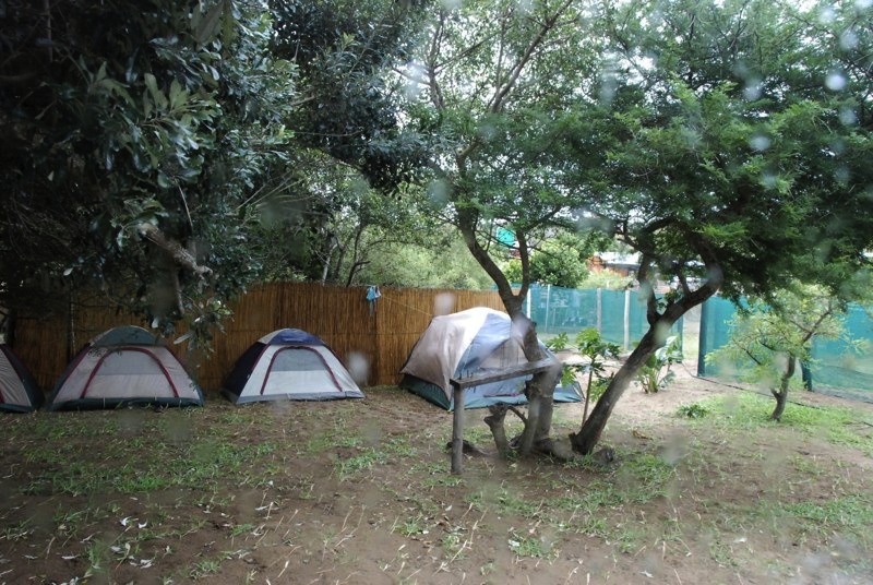 hostel camping lodge ponta mozambique